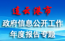連云港市政府信息公開工作年度報告專題